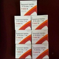 Vascel 20IU Injection
