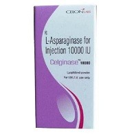 Celginase 10000 Injection